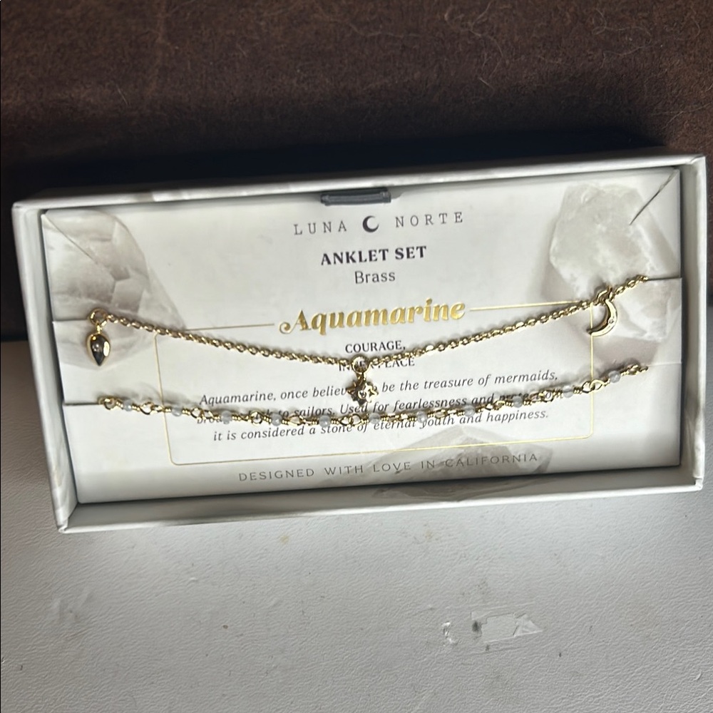 Luna Norte 🌜 Gold Tone Anklet Set